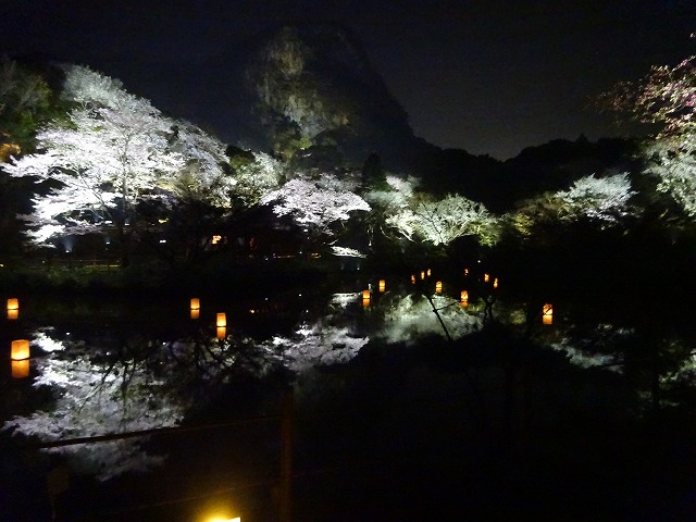 御船山楽園夜桜の池に写った景色